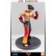 Tekken 3 Statue 1/4 Jin Kazama 48 cm